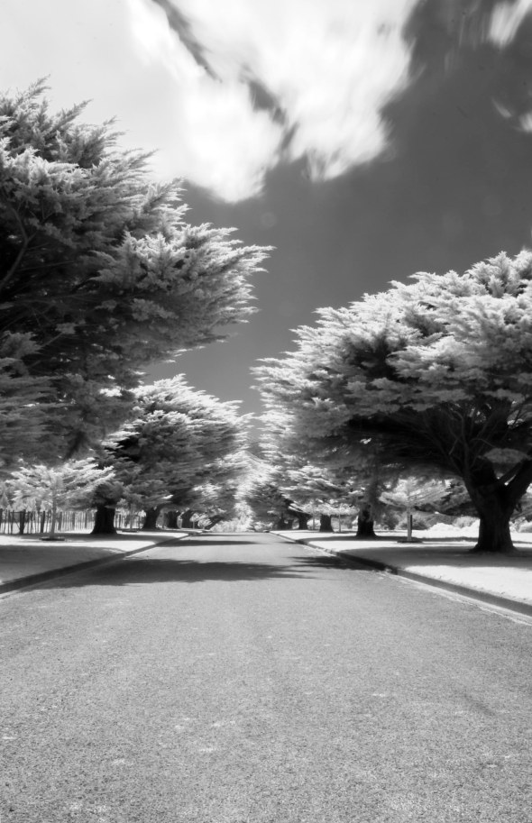 IR Road