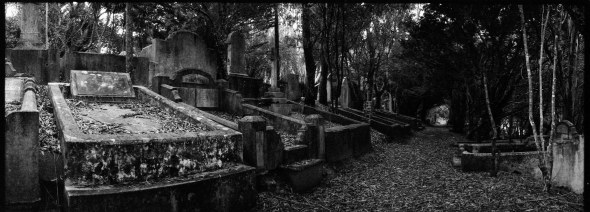 Cemetery 2