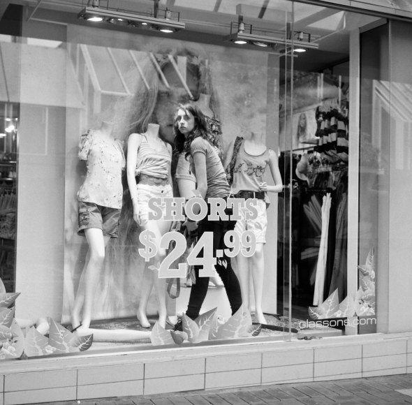 Window Dresser