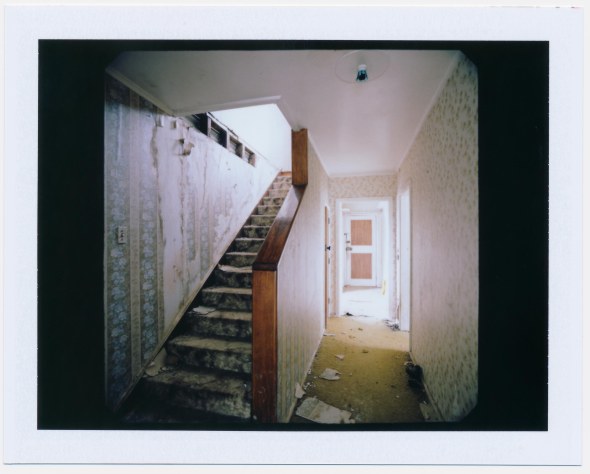 Polariod-3