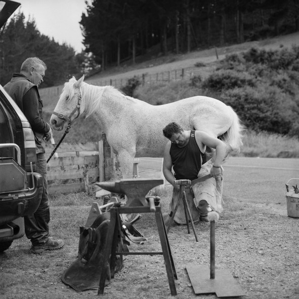 Farrier